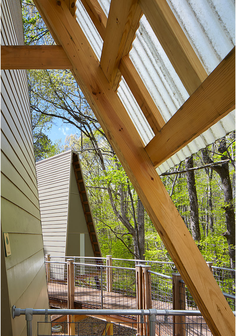 Camp-Graham-Cloverfield-Treehouses-4666