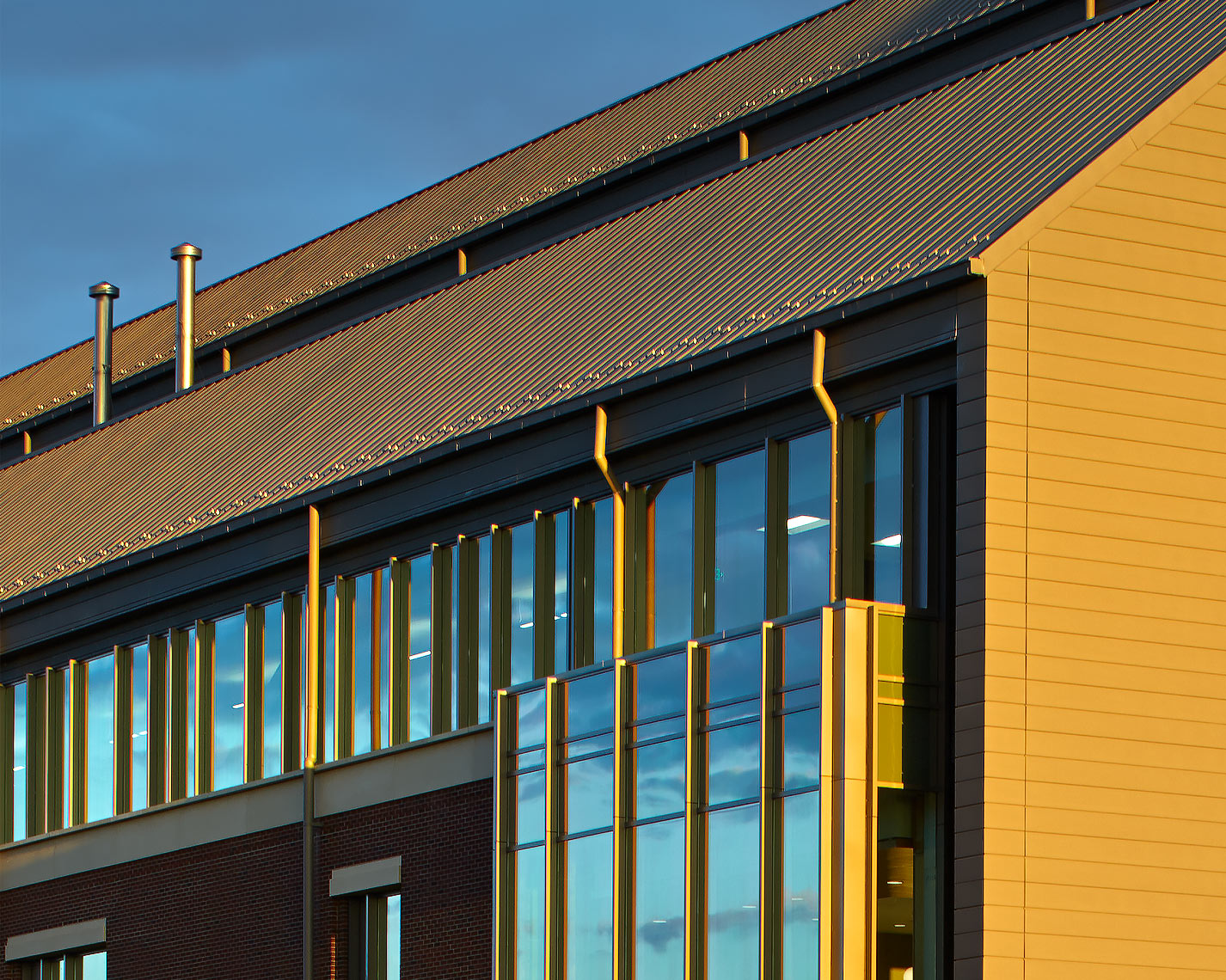 Campbell-University-School-of-Osteopathic-Medicine-9502-1